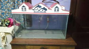 Fish tank, water cleaning machine, 5kg white ston