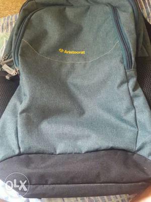 Gray Aristocrat Backpack