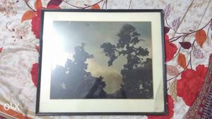 Nature 3d scenery excellent condition, can be