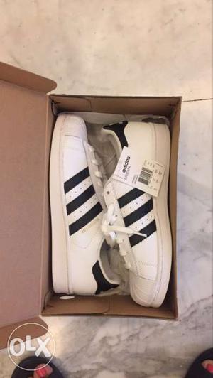 Pair Of White Adidas Superstar's With Box No:10