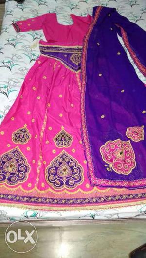 Pink And Blue Sari Traditional Dress