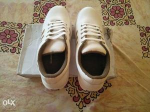 Sneaker metallic shoes(6number) brand new shoes