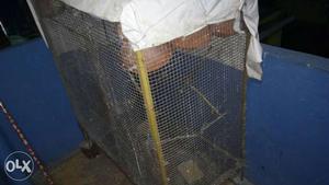 /- worth heavy duty cage with all setting