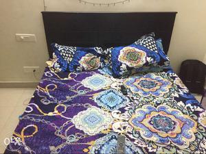 1 Year old Queen Size bed with sleepwell