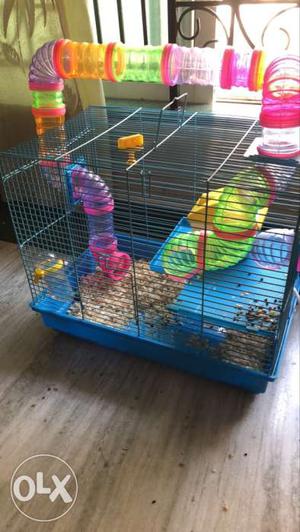 Bird,pet cage