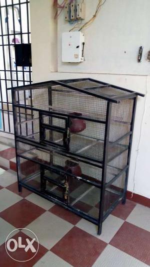 Birds Cage