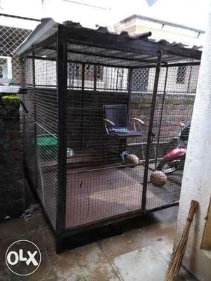 Cage for big dogs 6*6 feet