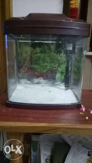 Fish tank with oxygen pipe and light&white sand
