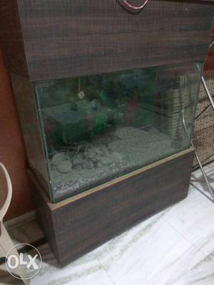 Large aquarium with wooden stand