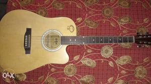 ICON semi electric acoustic guitar with inbuilt