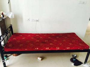 Single metal bed with mattress