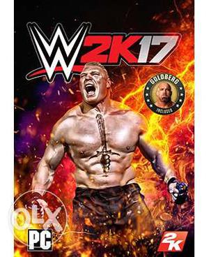 Wwe 2k17 PC game buy in rs 400