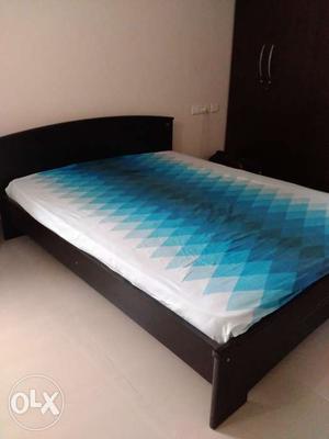 Cot and bed for sale -selling because of relocation