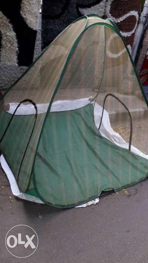 Green And White Tent