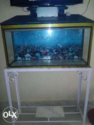 2.5ft big aquarium with stand