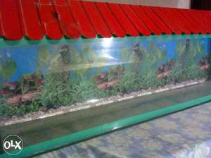 4ft/1ft/9inch fish tank new condition