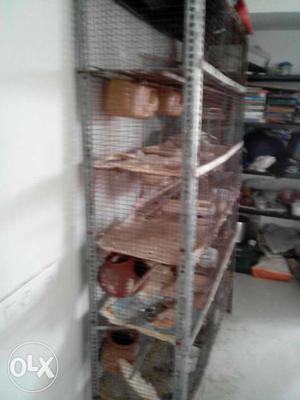6 feet cage and small cages