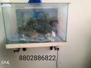 Acquarium in good condition with pump and air
