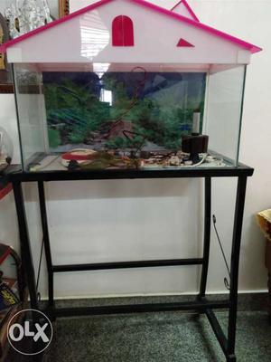 Aquarium 1.5 ft with metal stand, stones,