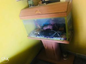 Aquarium, Brown Framed Fish Tank