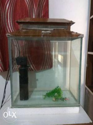 Aquarium fish tank complete with filter. Plant.