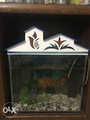  Aquarium with 3 kg pebbles for sale
