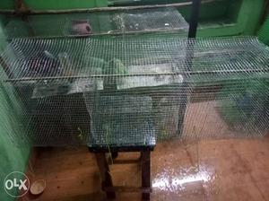 Birds Cages available,no-888three30seven444.