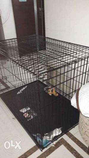 Brand new dog cage size 42" x 28" collapsible