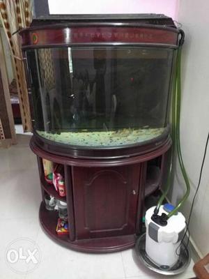 Clear Fish Tank and External Filter