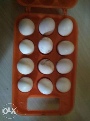 Farm fresh country chicken eggs. 12 eggs 180