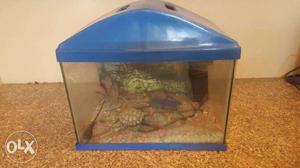 Fish Aquarium for Sale with filter stones and toy