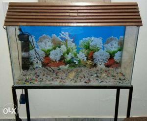 Fish tank 3ft long with hut stand filter stone