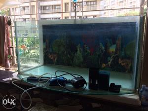 Fish tank for sale including Power Filter, Oxygen