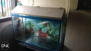Fish tank size  with heater,oxygen,, filter and