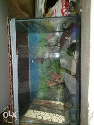 Fish tank with all accessories as seen in photo
