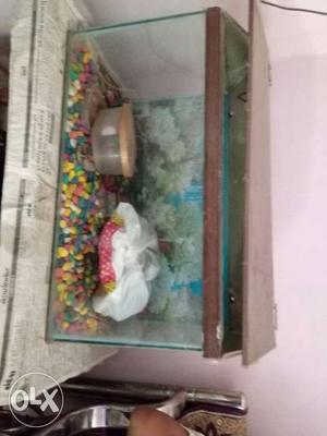 Fish tank with all equipment, one year used,