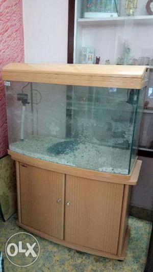Fish tank with all your needs