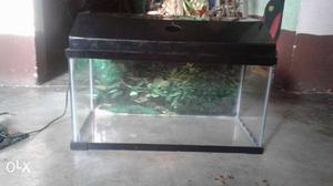 Good fish tank With Background And Light Older No cracks