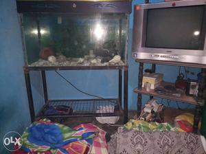 Grey CRT Television And Brown Frame Fish Tank