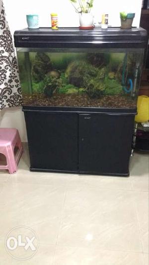 Imported Fish Tank 3.5 feet