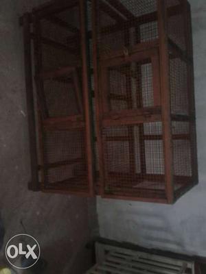 Kada and kozhi cage..waste tray is there