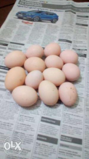Karikozy eggs One for 35