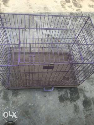 Purple Metal Folding Dog Crate
