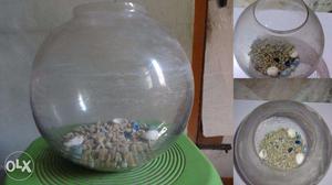 Round fish aquarium, above medium size