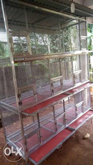 Surya birds cage in tvm venjaramoodu