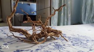 Unused driftwood in good condition