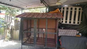 Very heavy quality cage A1 quality only