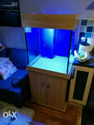 Aquarium 2ft with wooden top and Table