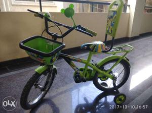 BSA Green Bicycle