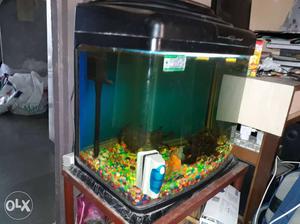 Black Plastic Frame Fish Tank